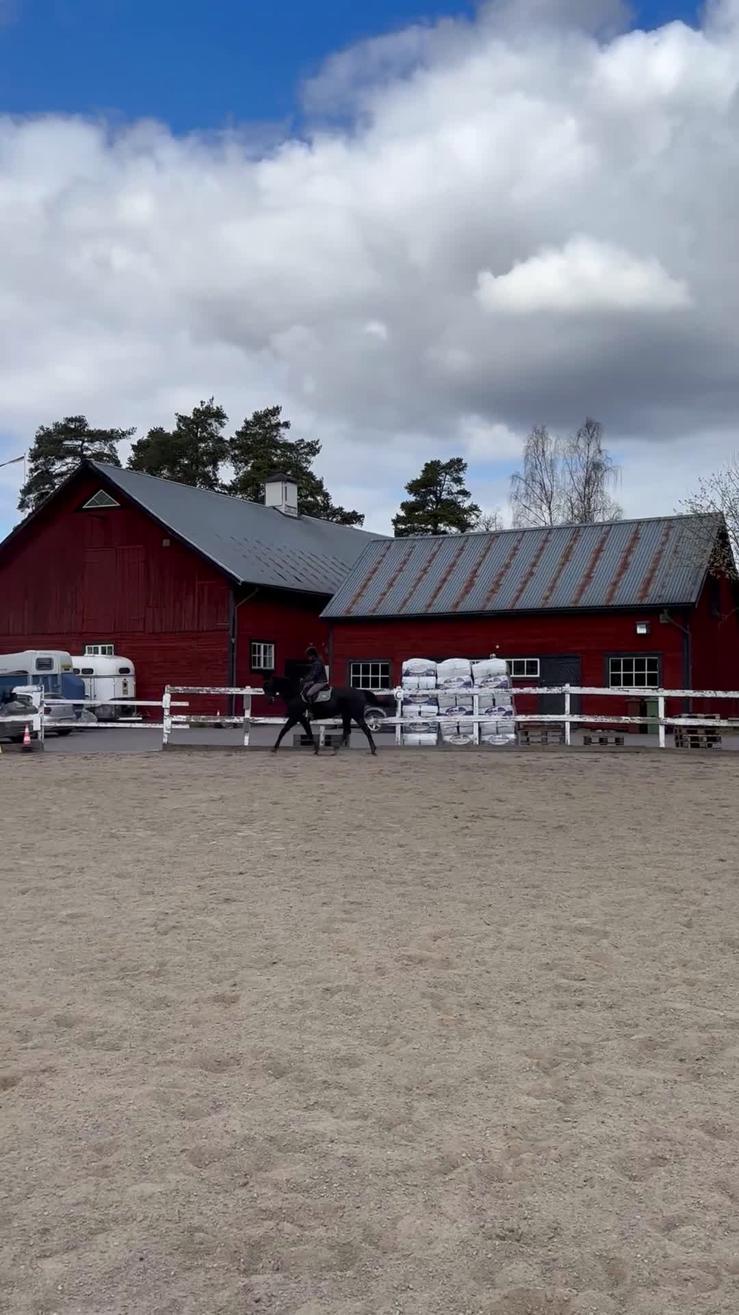 Allround hästar sökes: Bästavän sökes - Video 2