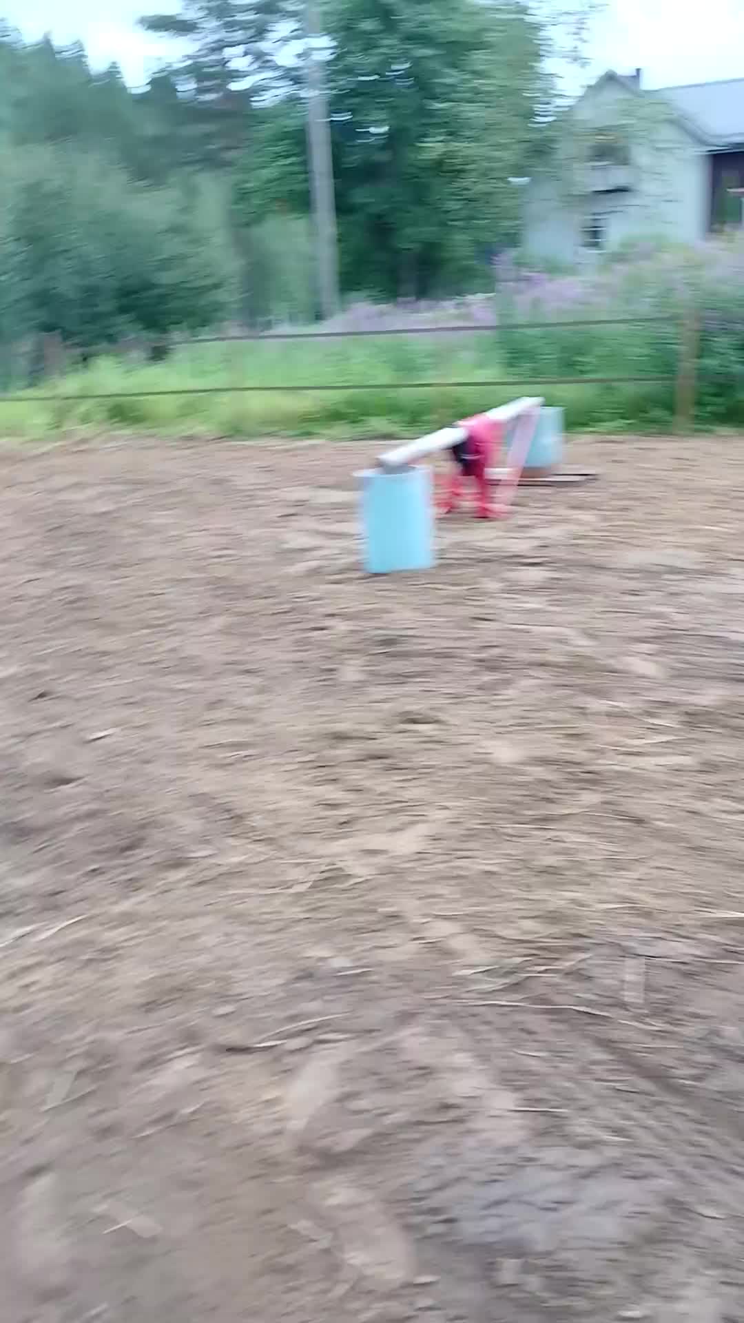 Allround hästar till salu: För den lilla tuffare ryttaren - Video 4