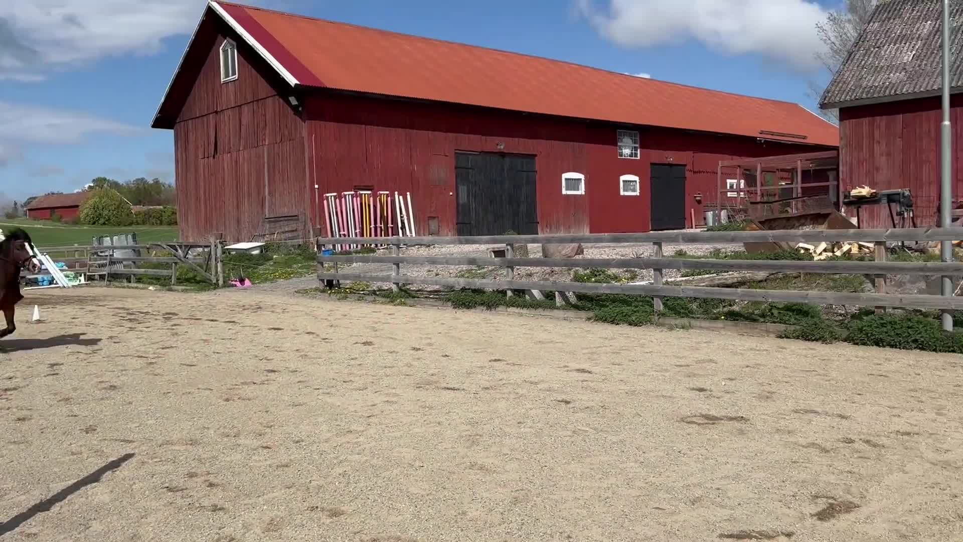 Hoppning hästar till salu: Femårig c-ponny med utvecklingsbarhet!  - Video 1