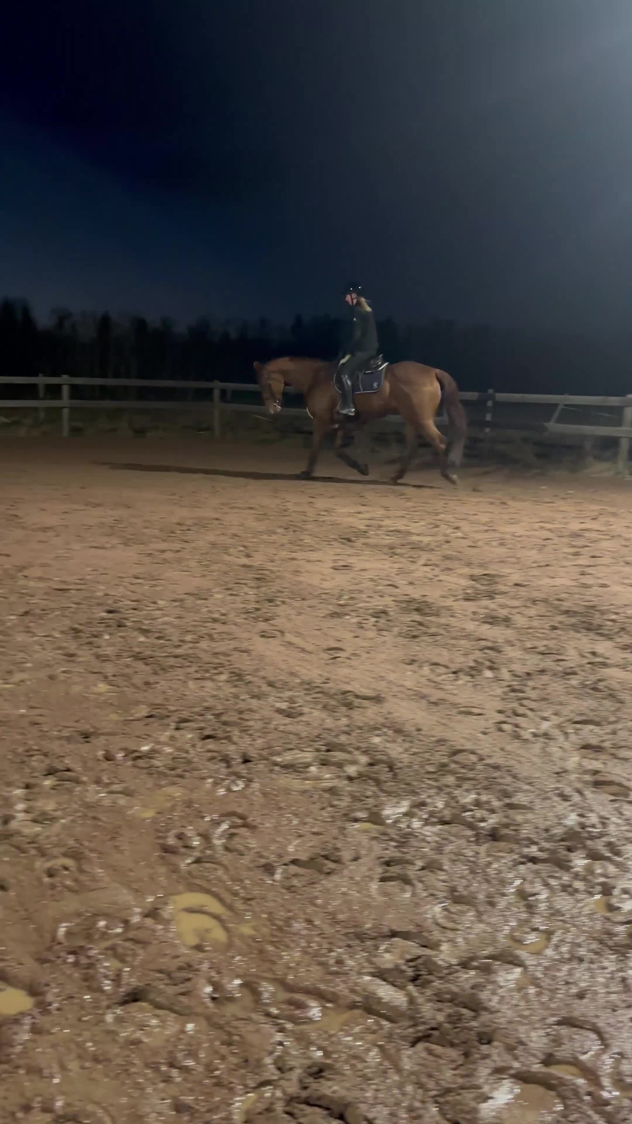 Allround hästar till salu: Ett sto med rätt inställning! - Video 2