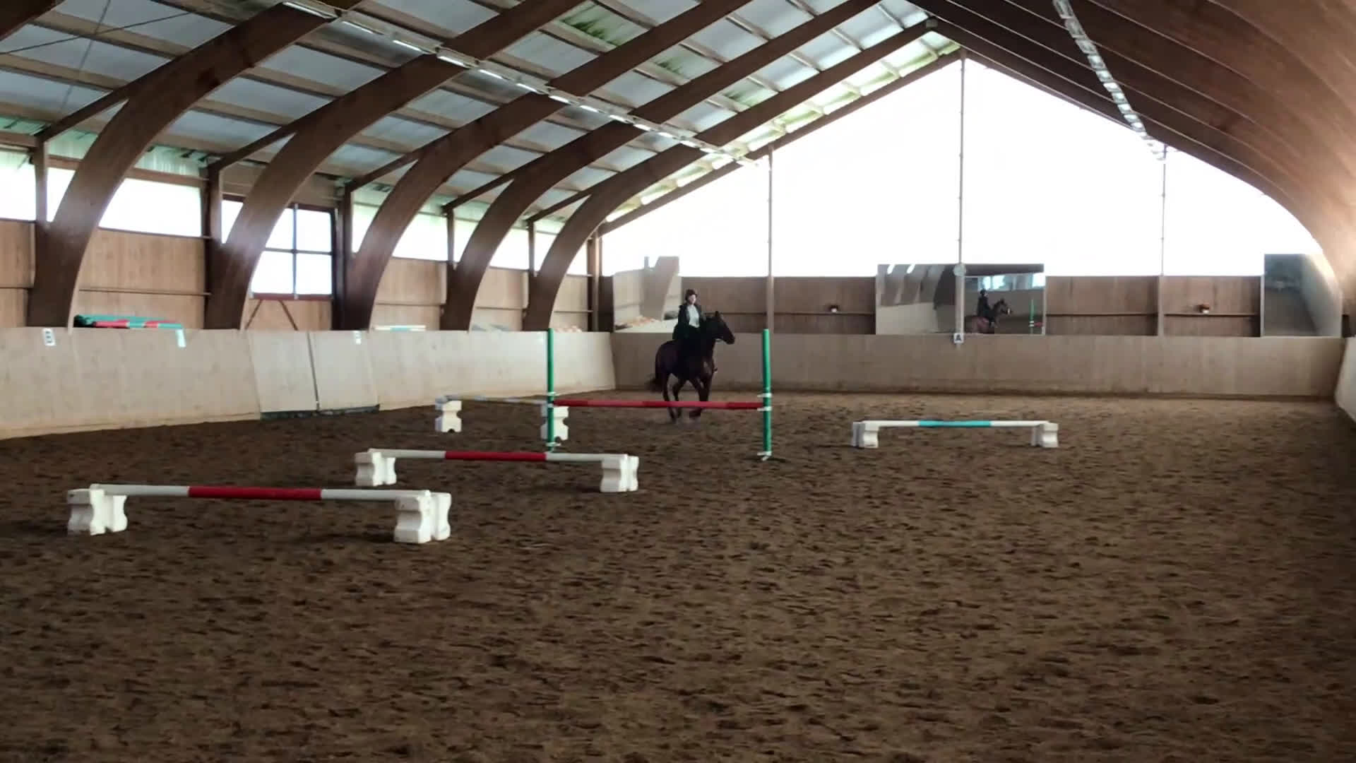 Allround hästar till salu: En go häst att göra lite av varje med i Vallentuna - Video 1