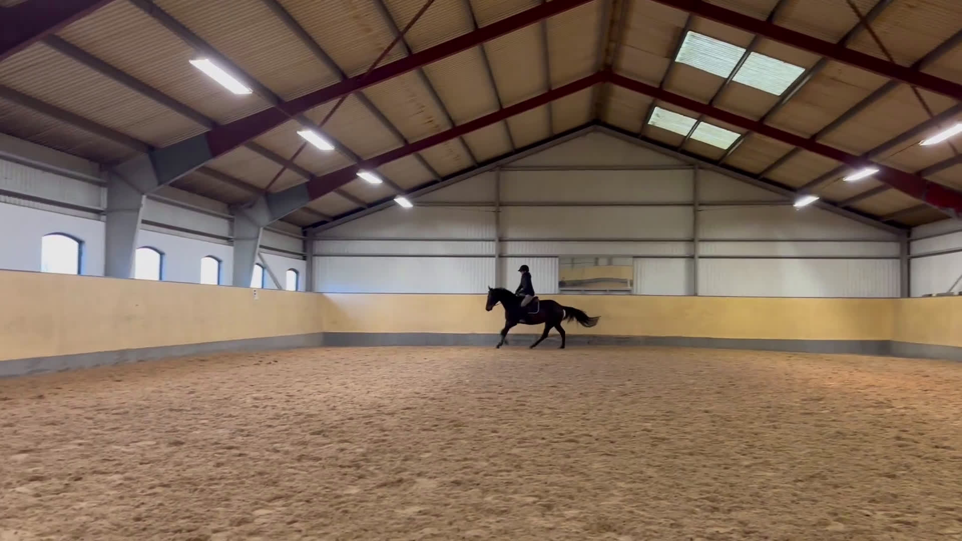 Allround hästar till salu: Läcker valack  i Vellinge - Video 2