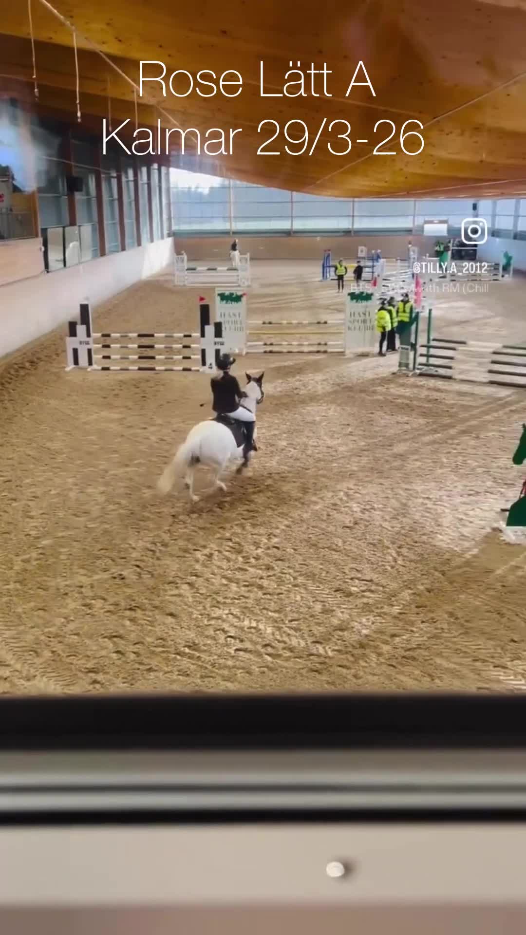 Hoppning hästar till salu: ✨ Multitalang utöver det vanliga ✨ - Video 2
