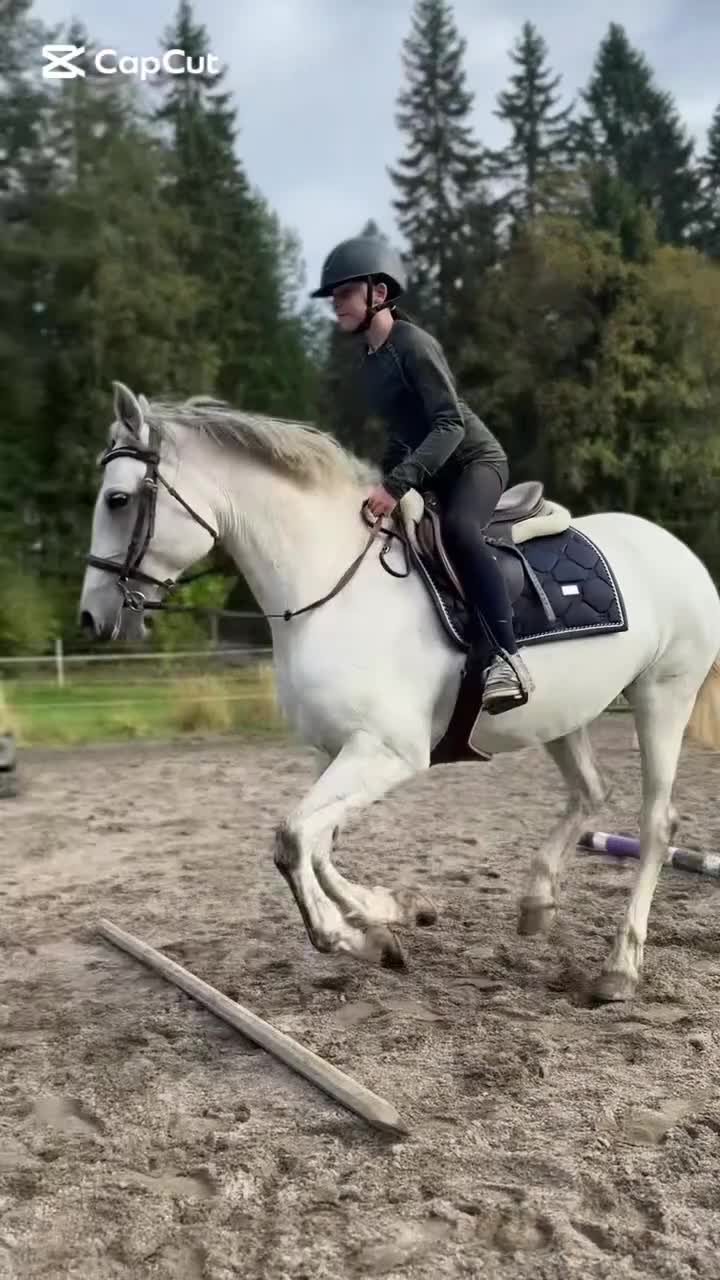 Allround hästar till salu: Maxat svenskfödd d-ponny sto  - Video 1