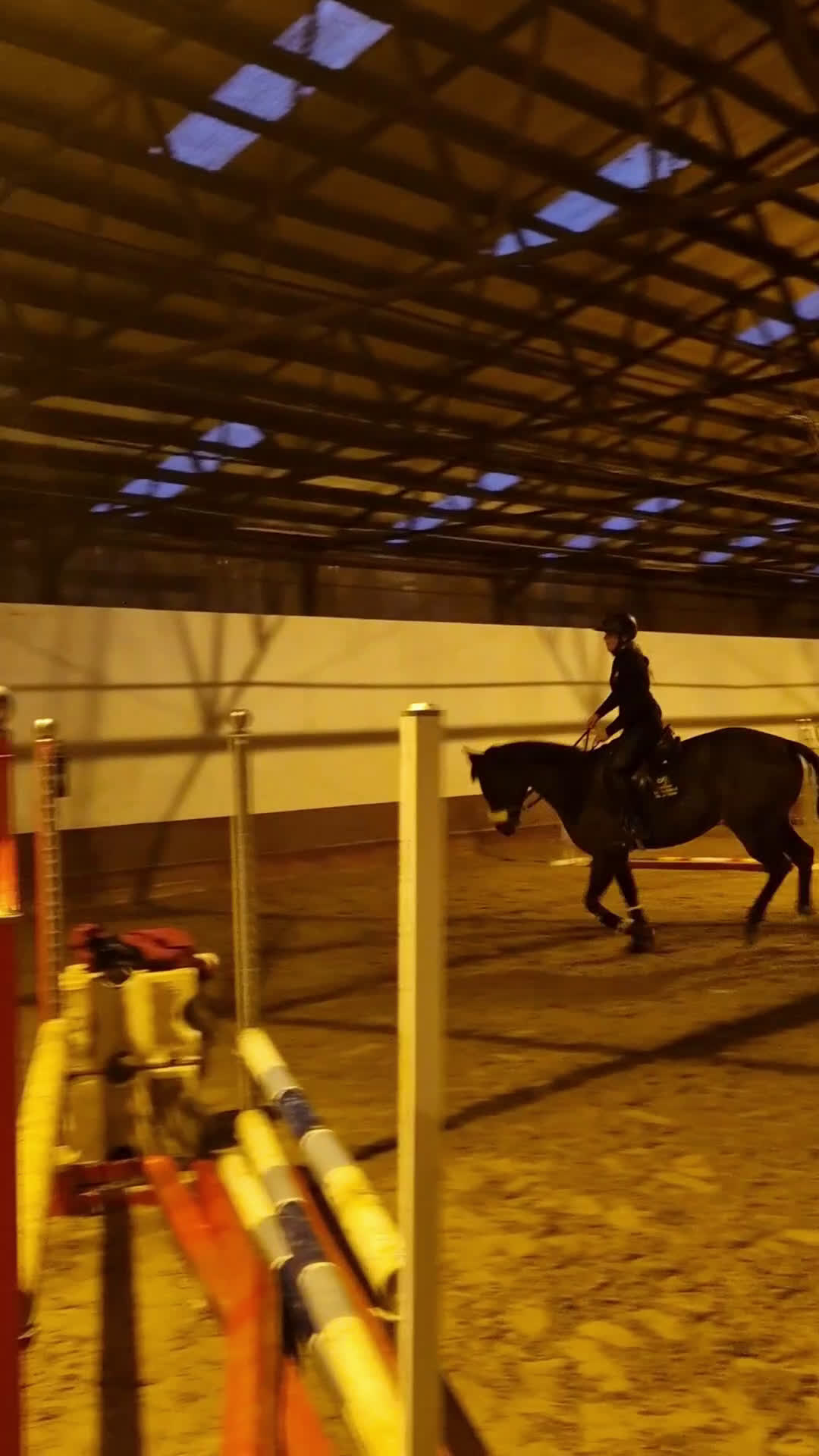 Allround hästar till salu: Dressyrhäst/mamma-dotter/hobbyhäst i Mölndal - Video 2