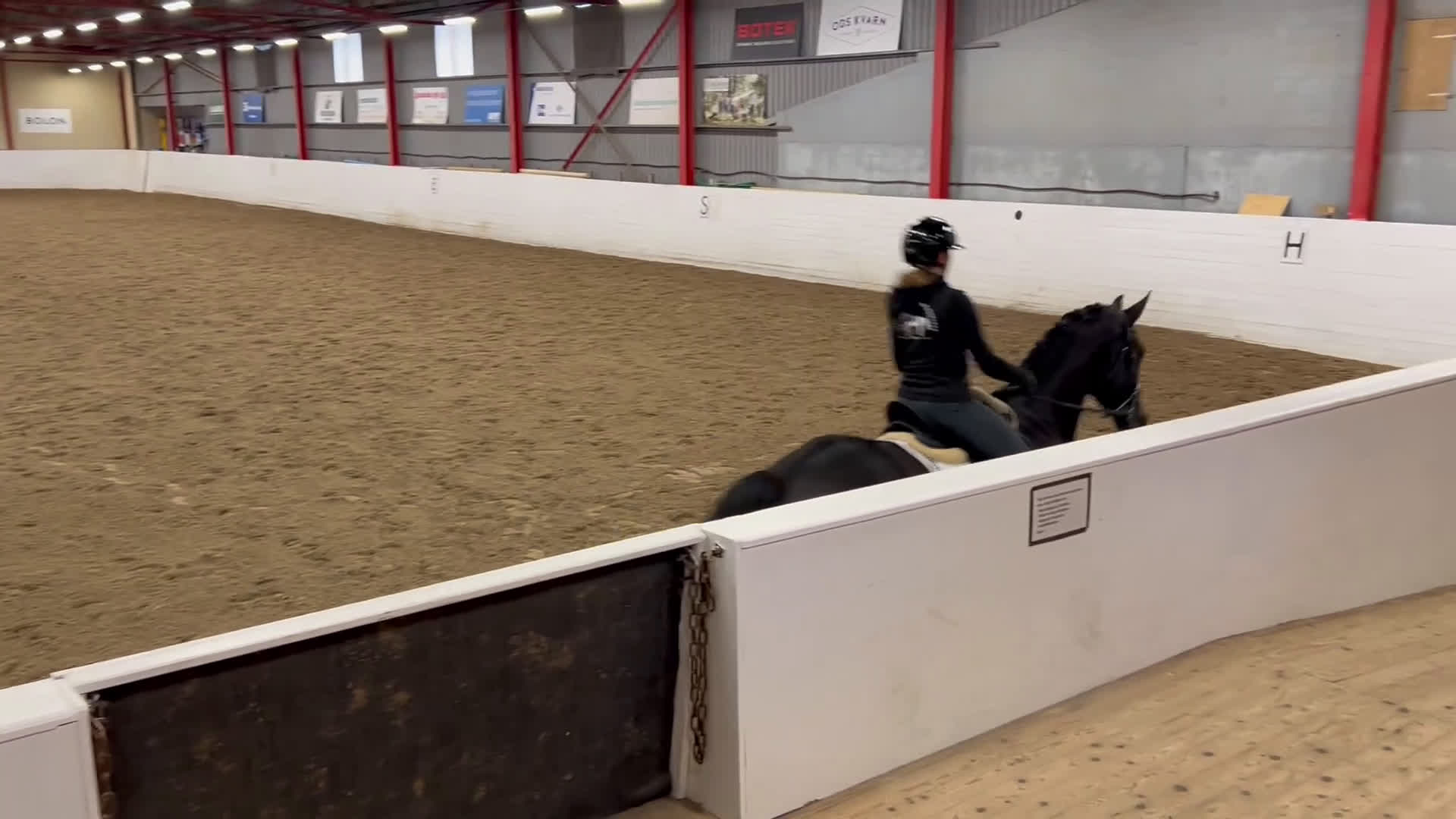 Dressyr hästar till salu: 6årig dressyrvalack, ev bytes äldre läromästare i Tvärred - Video 1