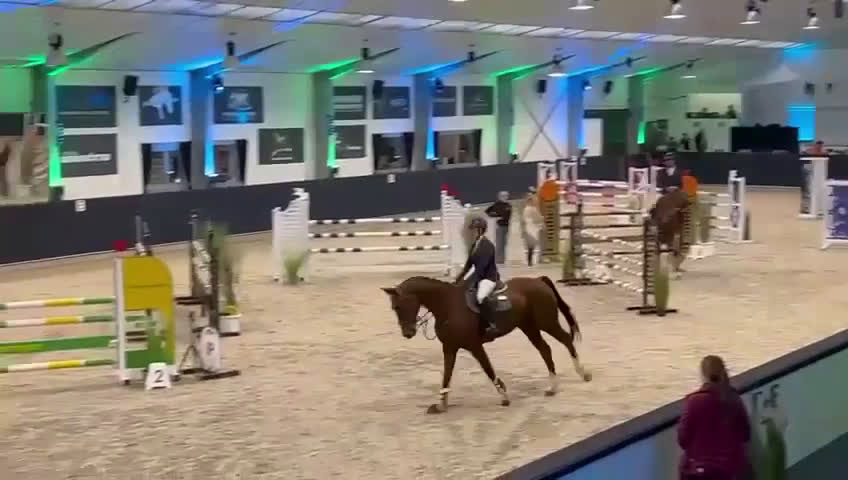 Hoppning hästar till salu: Ädel toppstammad 7-åring med kapacitet i Mörarp - Video 2