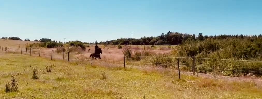 Island hästar till salu: Lira från Spelmansgården i Hjärnarp - Video 5