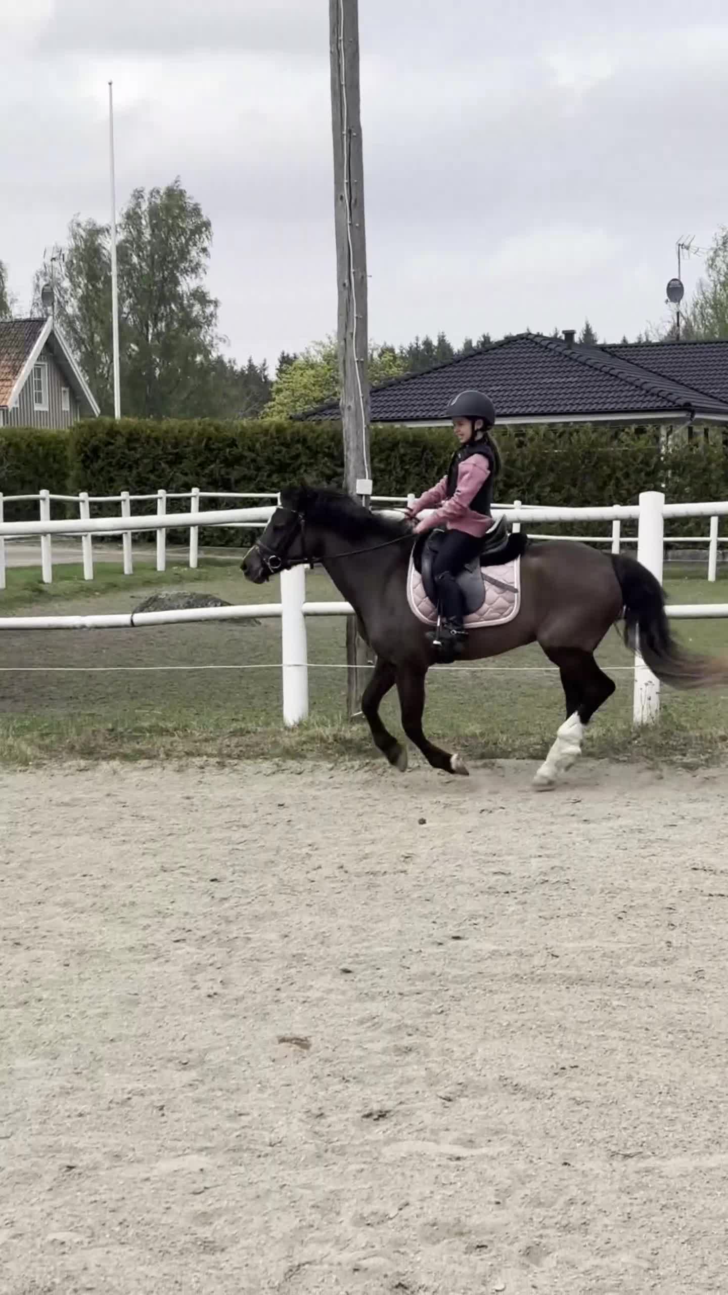 Allround hästar till salu: Den perfekta första ponny - Video 2