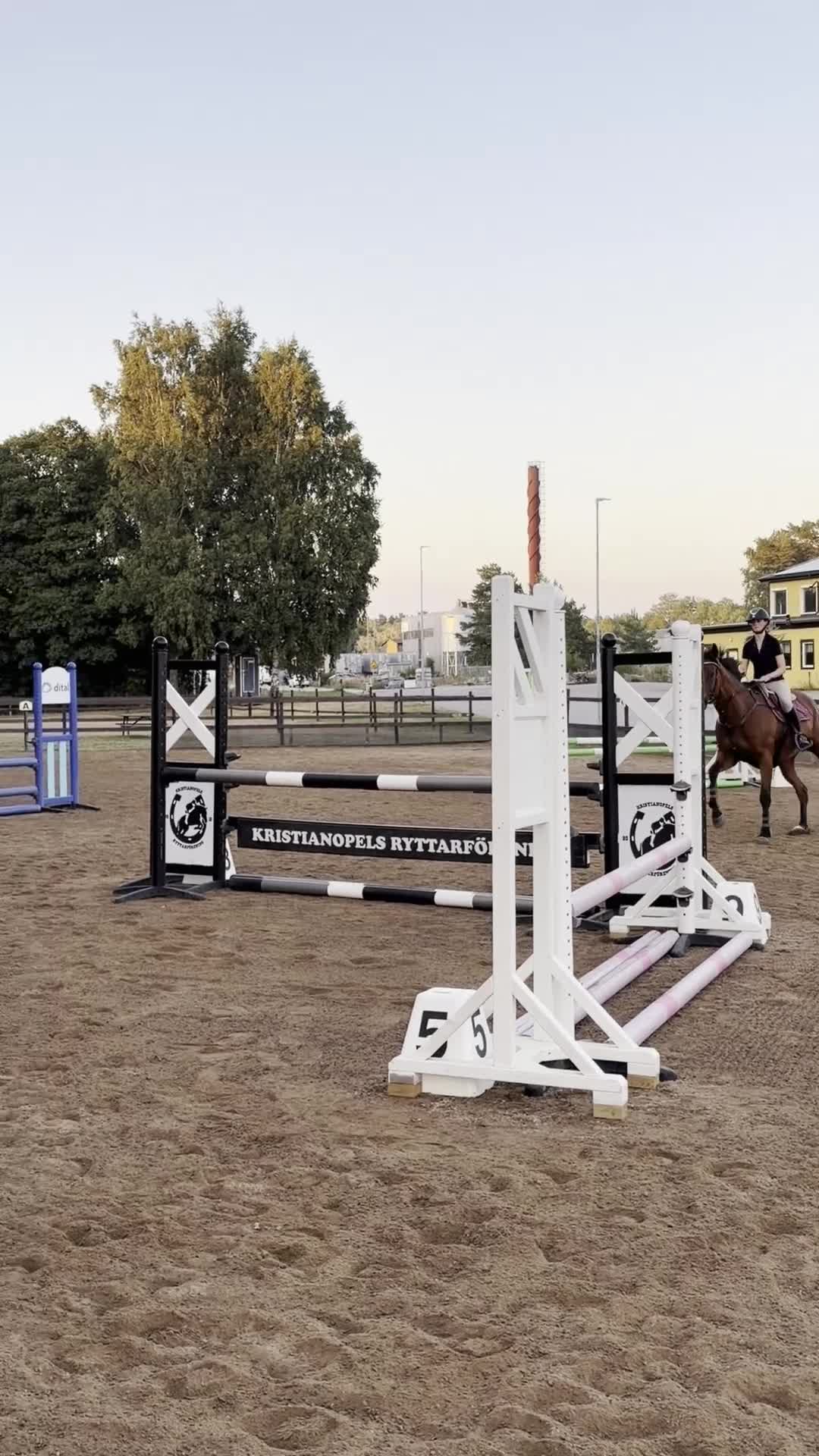 Hoppning hästar till salu: Härligt hoppsto🌟 - Video 2