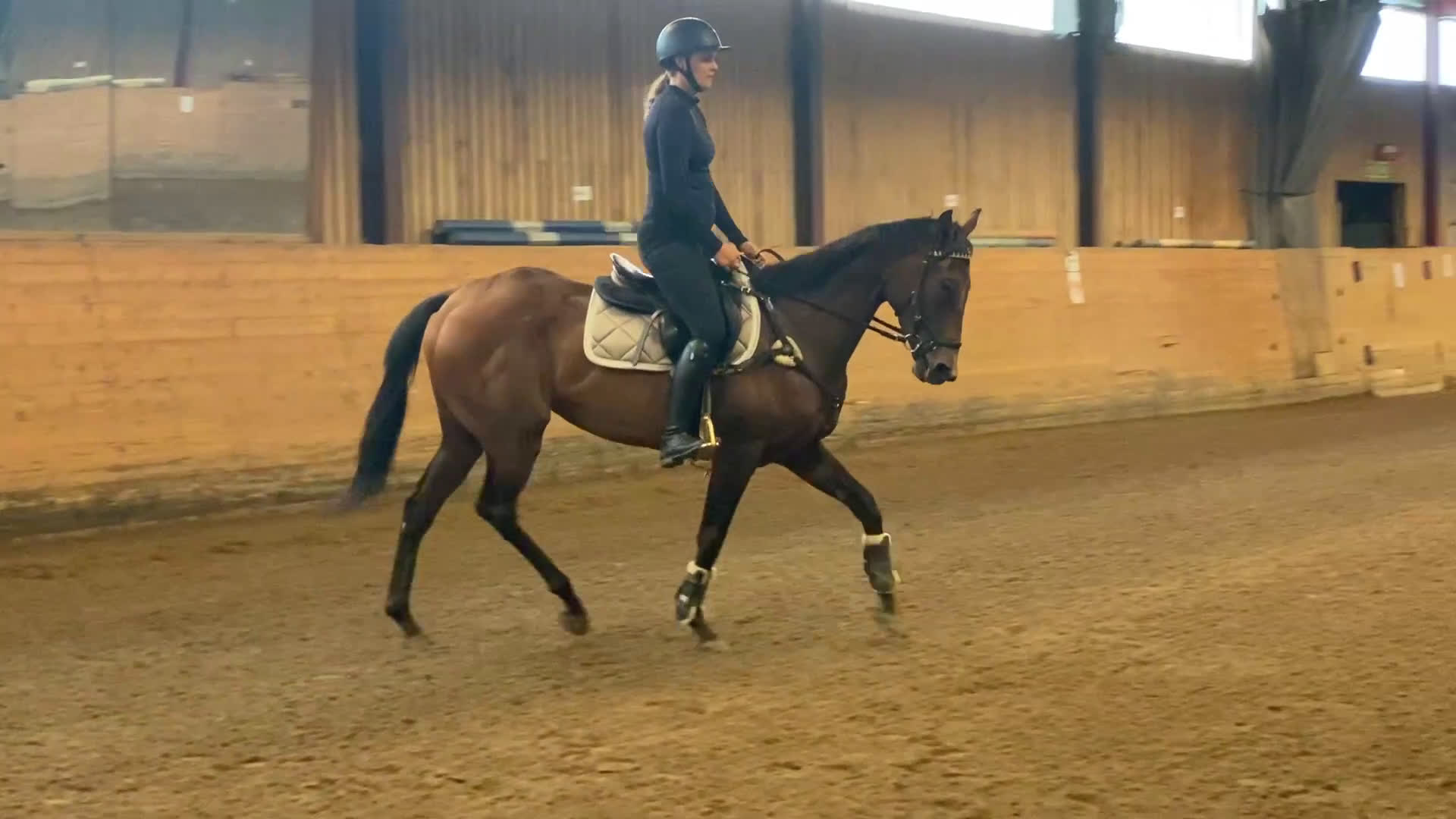 Allround hästar till salu: Vänligt sto som blir vad du gör henne till!  i Trollhättan - Video 1