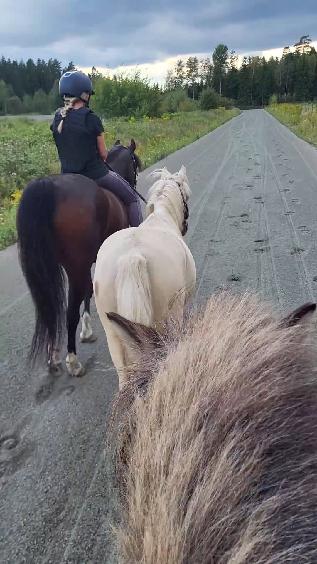 Allround hästar till salu: Trevlig ungponny i Vårgårda - Video 1