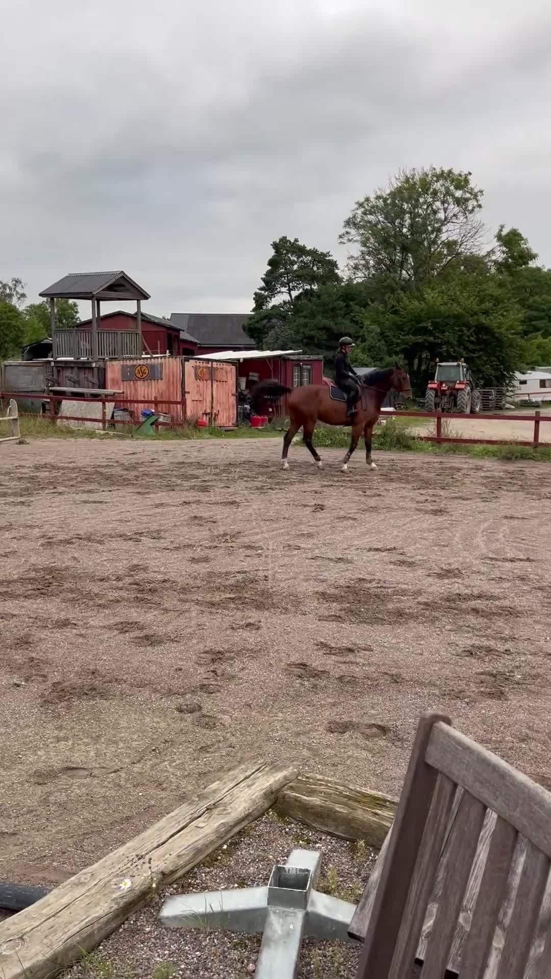 Hoppning hästar till salu: Stor hoppvalack i Kungsängen - Video 5