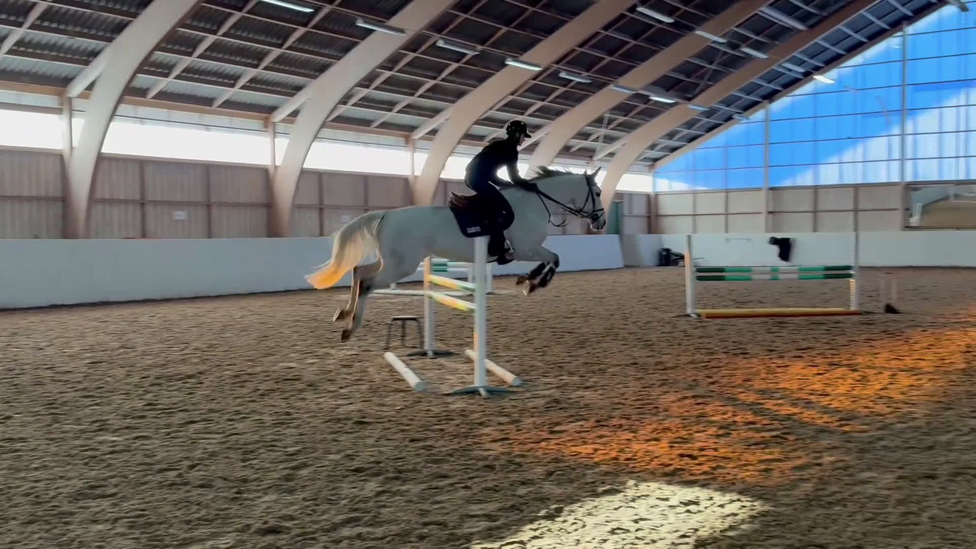 Hoppning hästar till salu: Fint Hoppsto i Skurup - Video 1