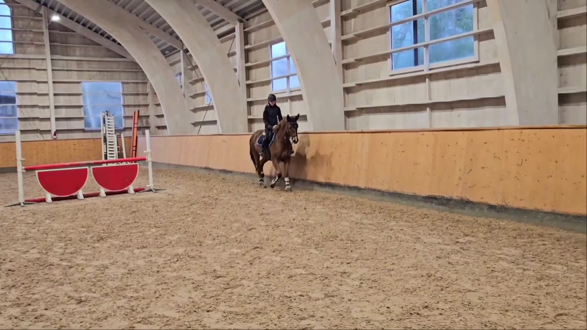 Allround hästar till salu: Vänligt & arbetsvilligt sto med lite extra krydda. - Video 1