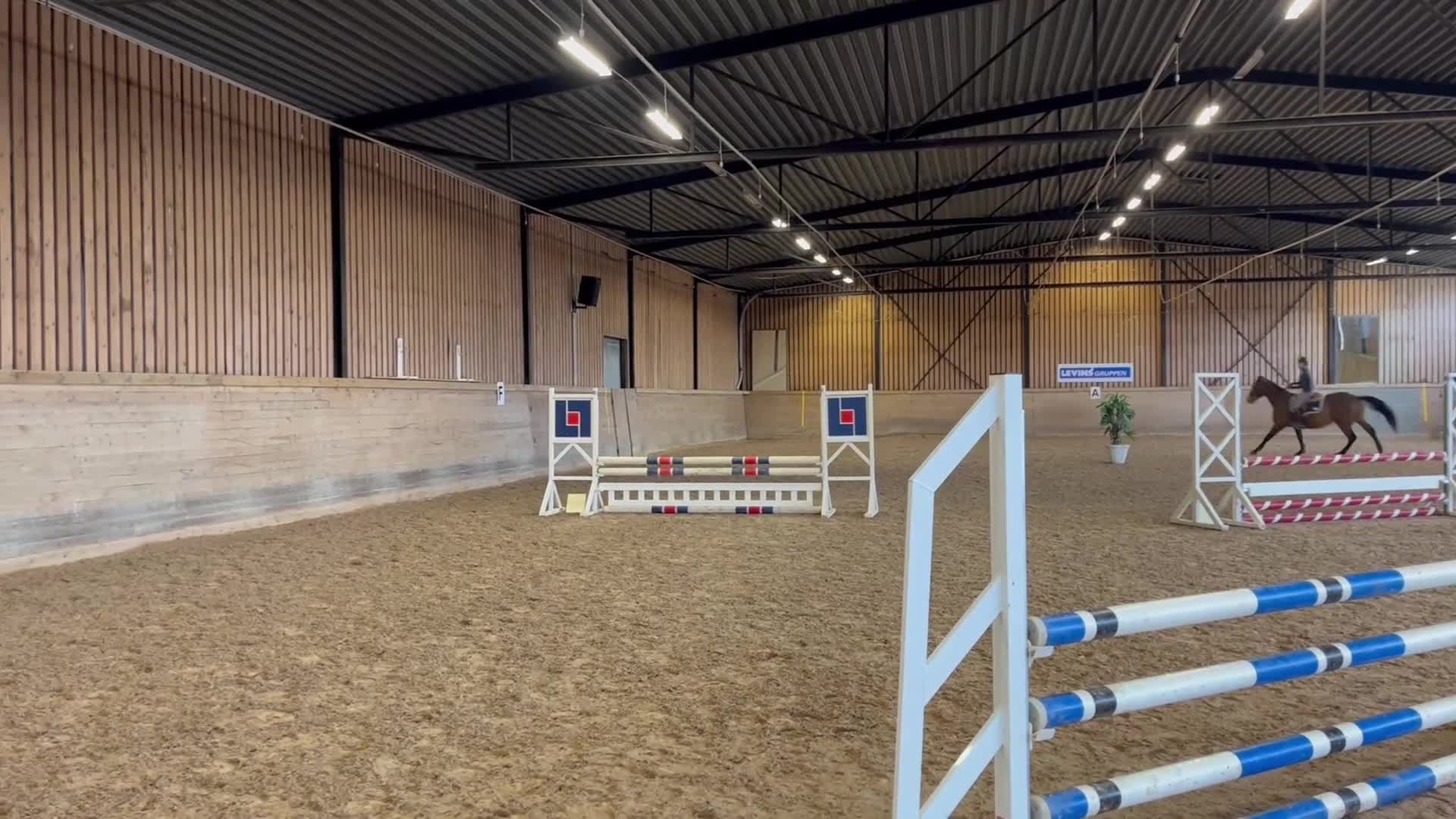 Hoppning hästar till salu: Perfekta mor/dotter hästen/bästa kompis - Video 1