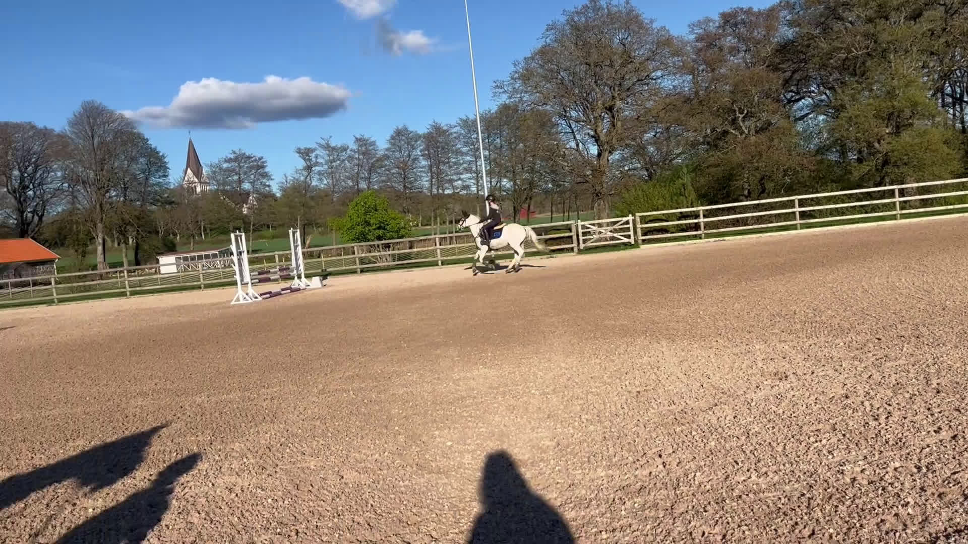 Hoppning hästar till salu: Världens bästa tävlingskompis - Video 2