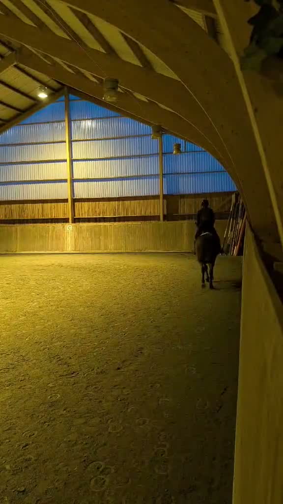  medryttarhäst finnes: Medryttare sökes - Video 2