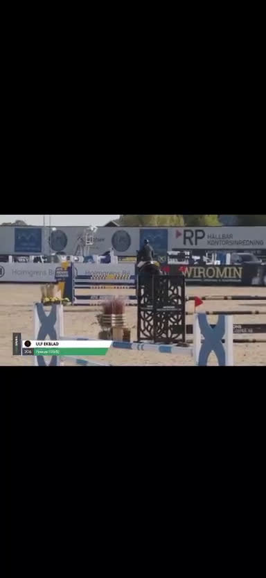 Hoppning hästar till salu: 2 fina kvalitetshästar i Söderköping - Video 3