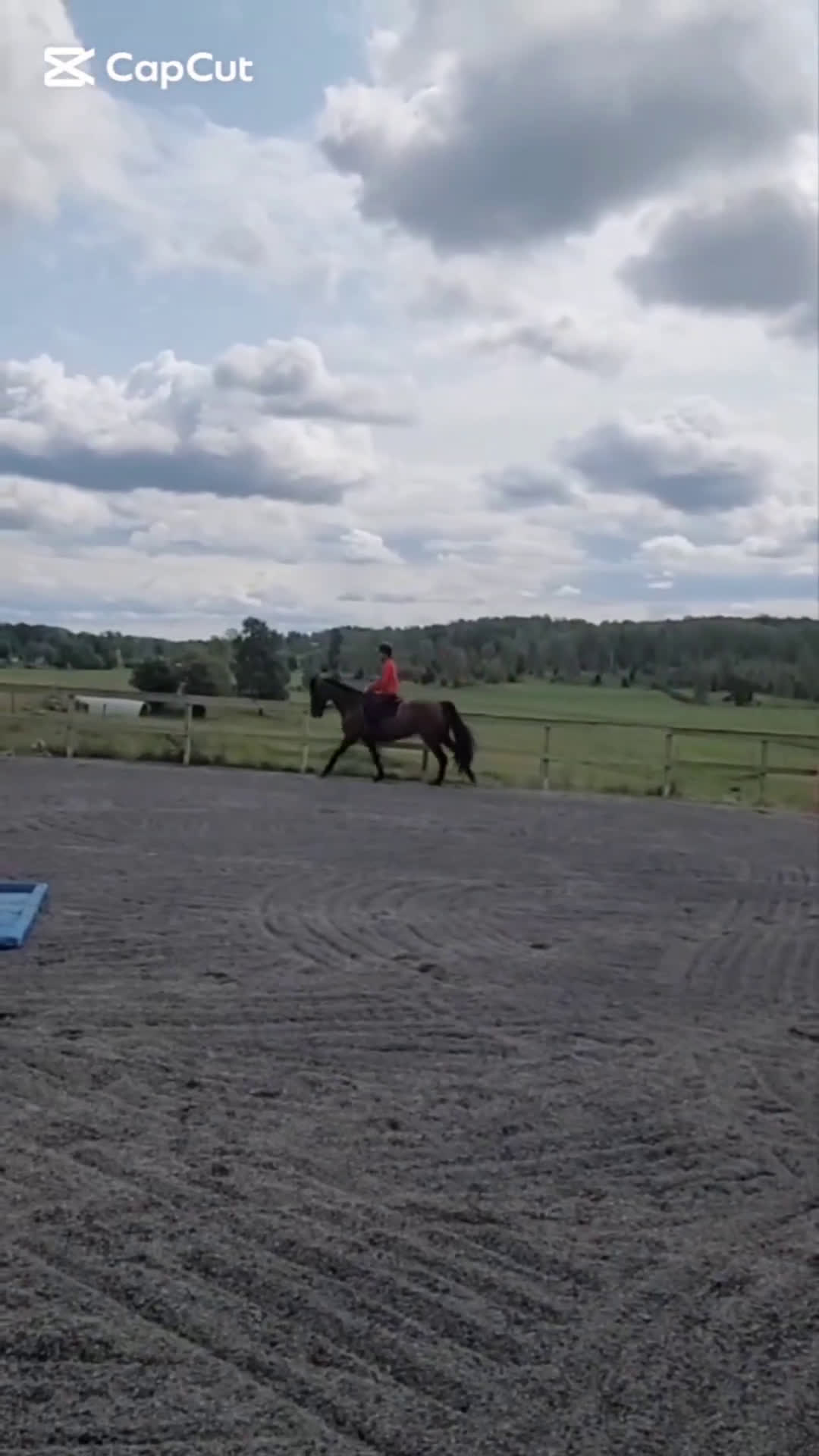 Allround hästar till salu: Underbar familjehäst/skogsmulle/mottagarsto! i Vena - Video 3