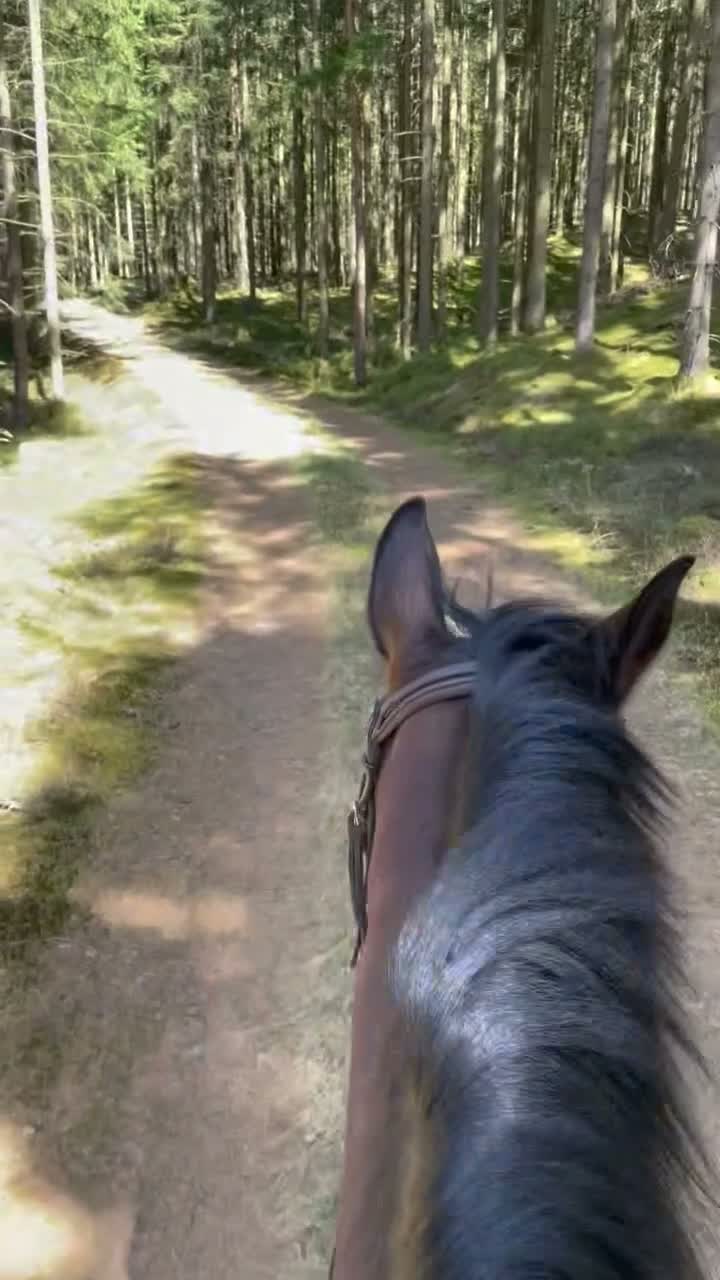 Allround hästar till salu: Rid-avelssto "Emma" - Video 1