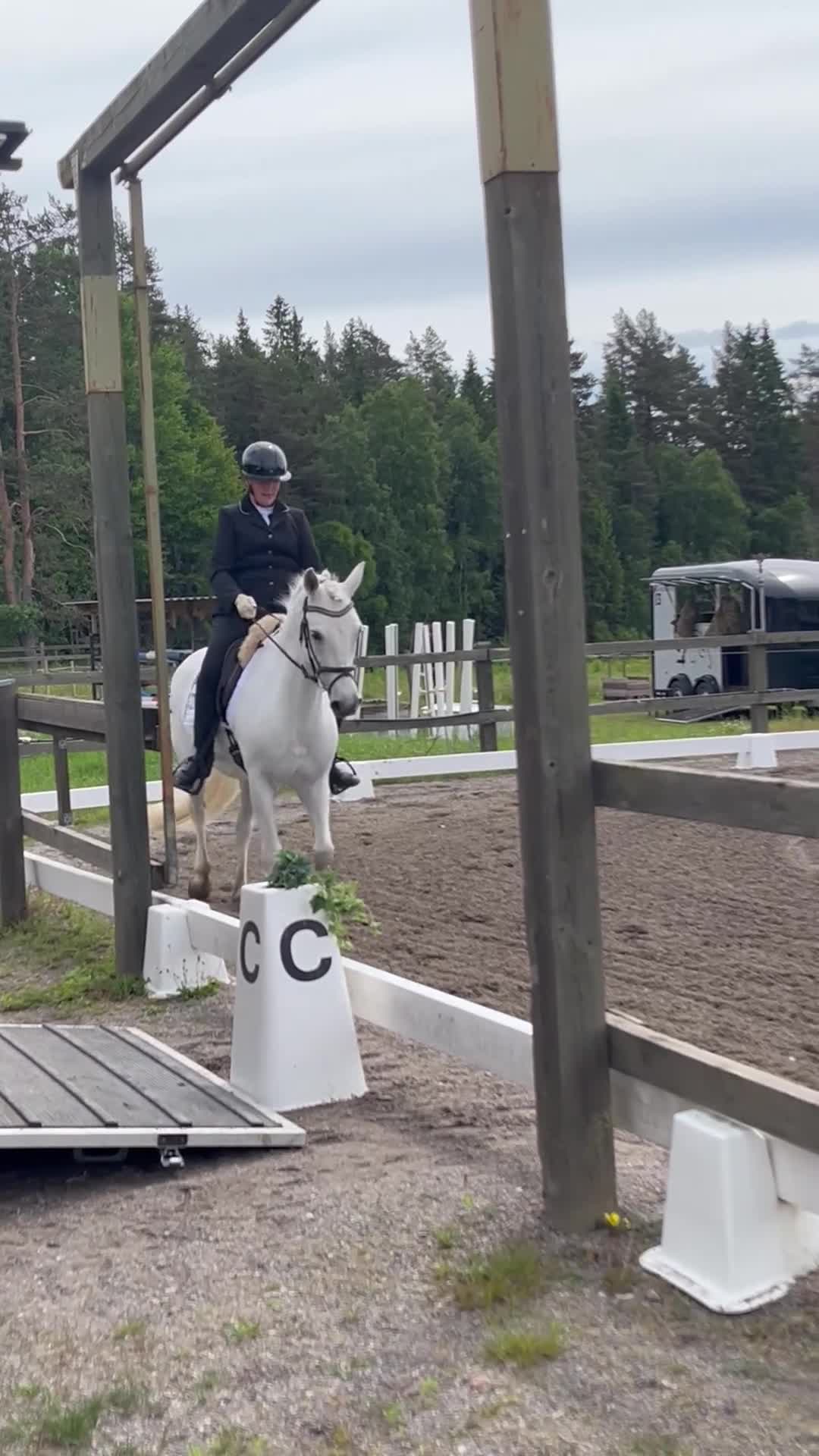 Hoppning hästar till salu: Maxad d-ponny för hopp, dressyr eller fälttävlan  - Video 4