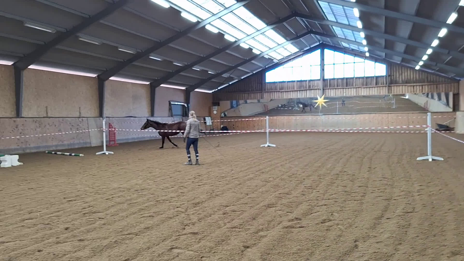 Fälttävlan hästar till salu: Supertrevlig unghäst e. Heartbeat - Video 1