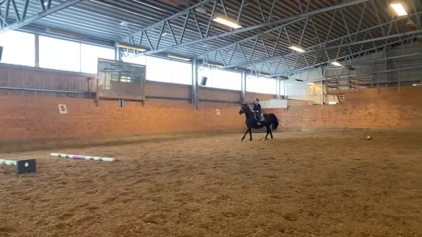  hästjobb finnes: Stalljobb sökes fr.o.m september! i Göteborg - Video 2