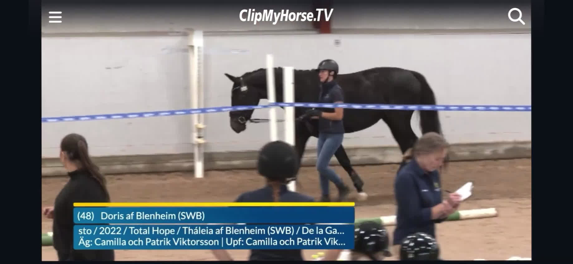 Dressyr hästar till salu: Sto e. Total hope! i Smygehamn - Video 2