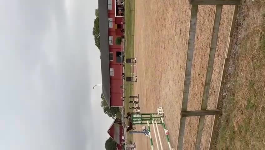 Hoppning hästar till salu: Lovande D-ponny med hjärta och potential 🌟❤️  - Video 5