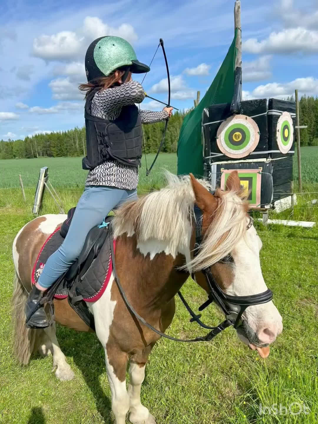Hoppning hästar till salu: Allsidig b-ponny till rätt ryttare - Video 1