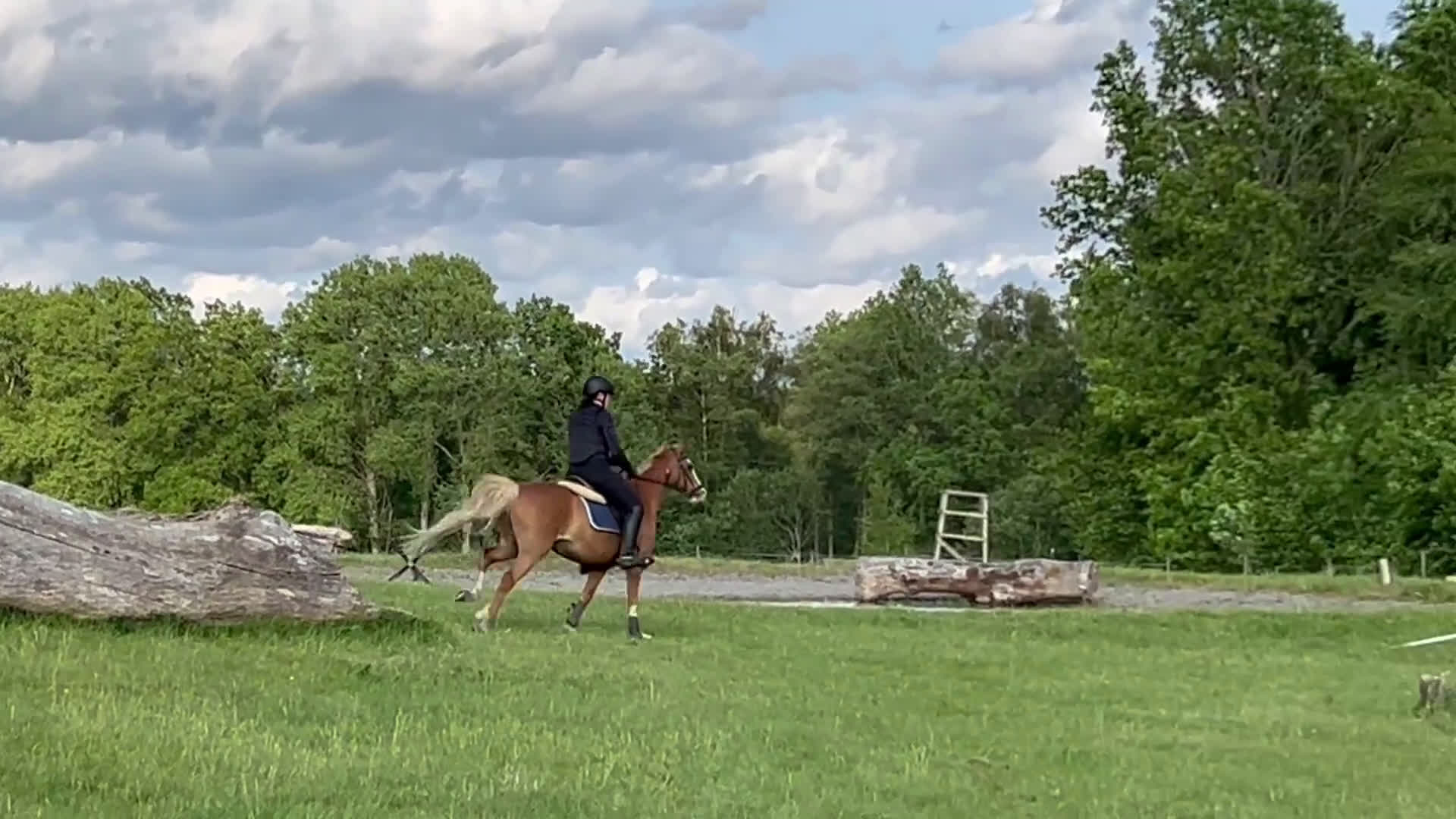 Allround hästar till salu: Guldponnyn Arhults Amazon - Video 3