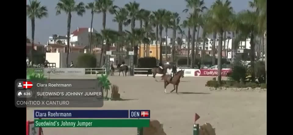 Hoppning hästar till salu: Perfekt children, junior og amatør horse for sale i Hårlev - Video 3