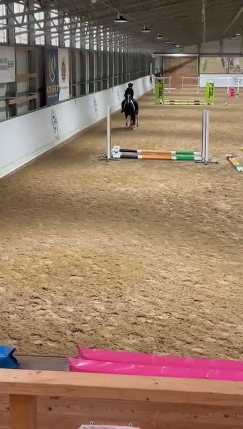  medryttarhäst sökes: SÖKER MEDRYTTARHÄST  i Uppsala - Video 2