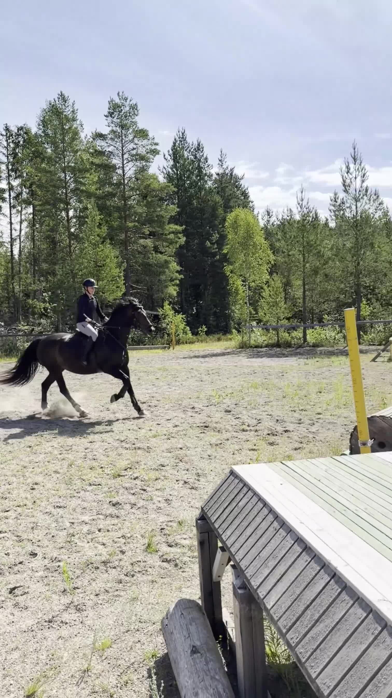 Allround hästar till salu: Jora - fantastisk sto för dig som vill utvecklas i Norrtälje - Video 4