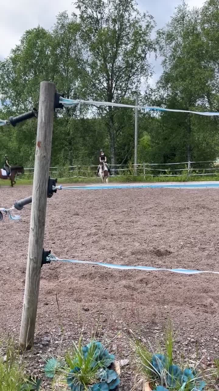 Allround hästar till salu: Super snäll C ponny  - Video 1