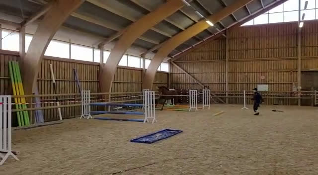 Övrigt hästar till salu: Välstammat fullblodssto i Varberg - Video 1