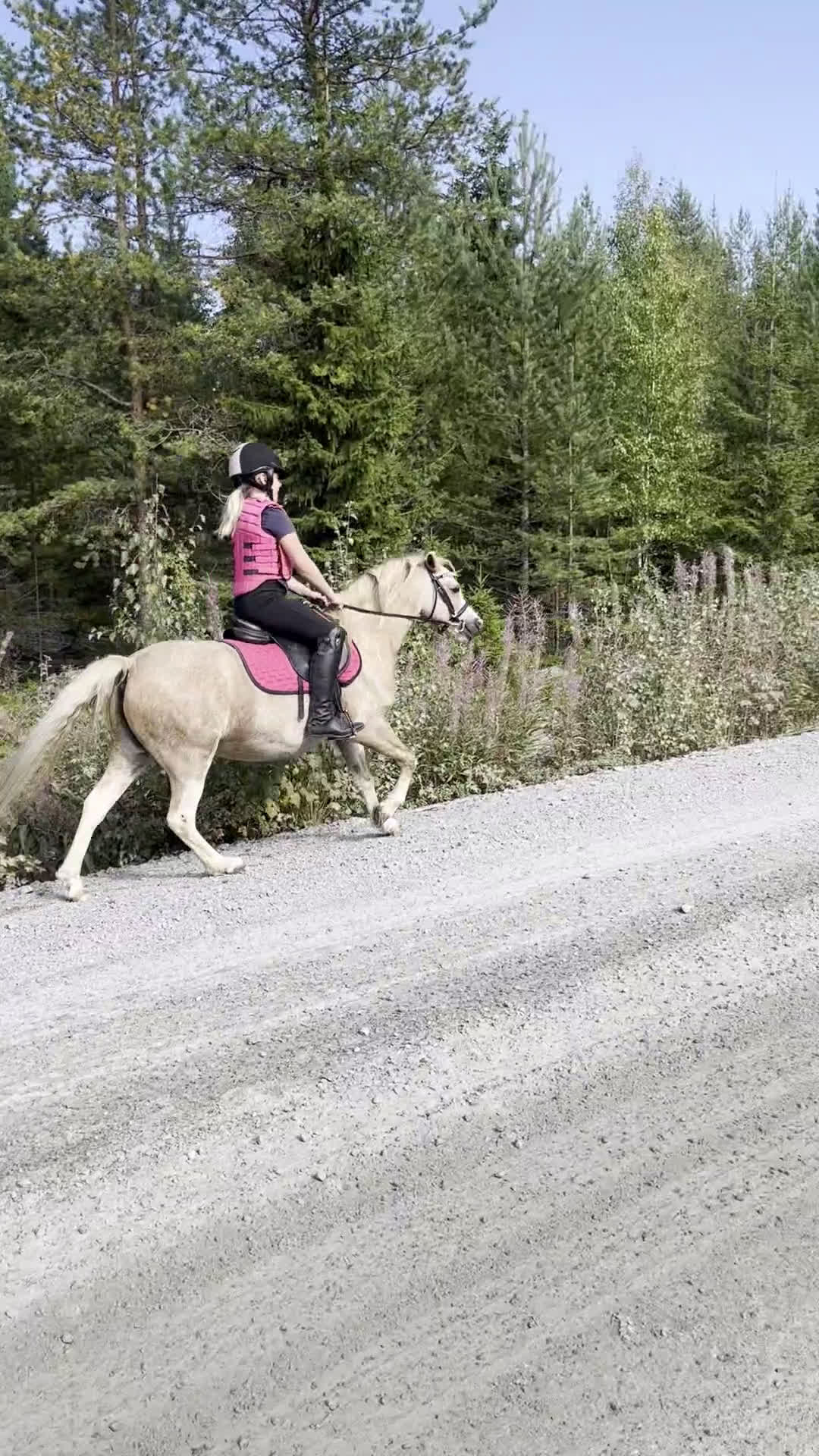 Allround hästar till salu: B-ponny sto - Video 1