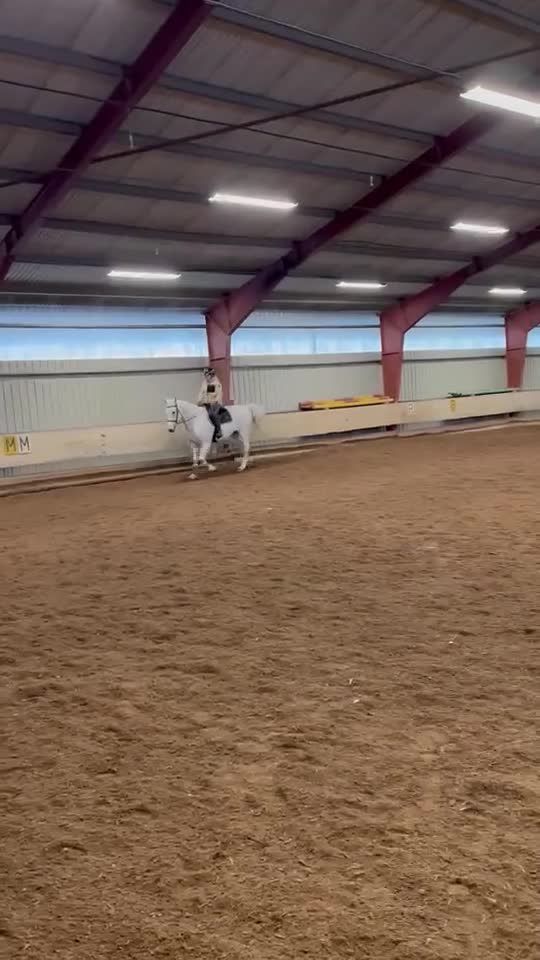 Allround hästar till salu: Hobbyhäst och bästa vän - Video 4