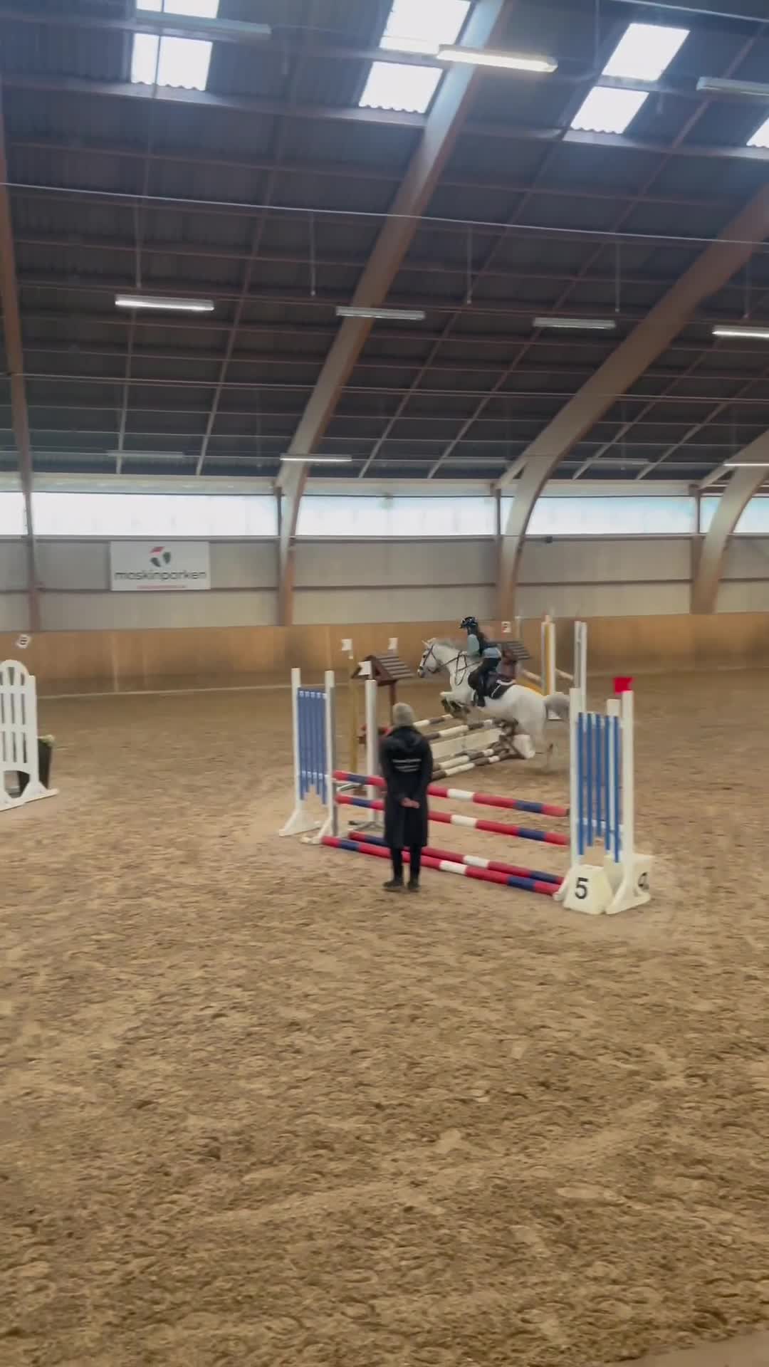 Hoppning hästar till salu: Rosettplockare & bästa vän  - Video 2