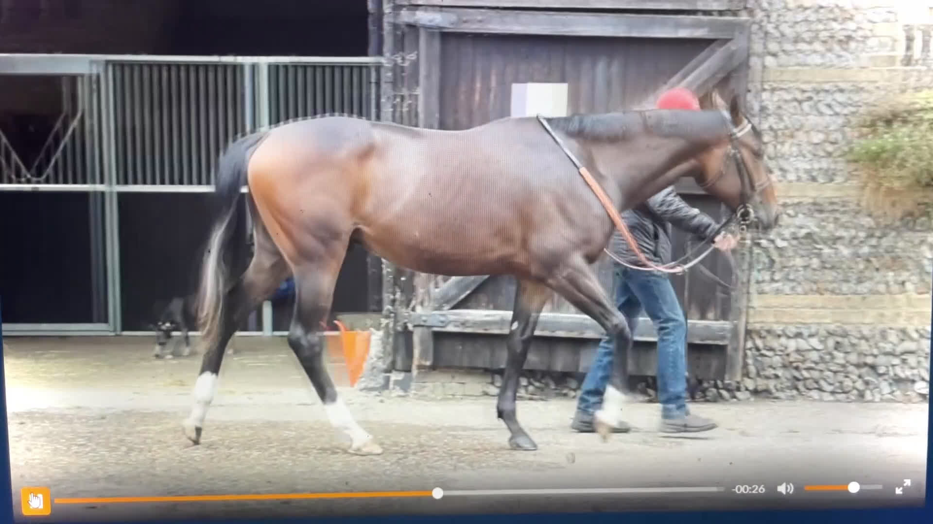 Fälttävlan hästar till salu: En otroligt snäll unghäst att forma själv! i Bälinge - Video 5