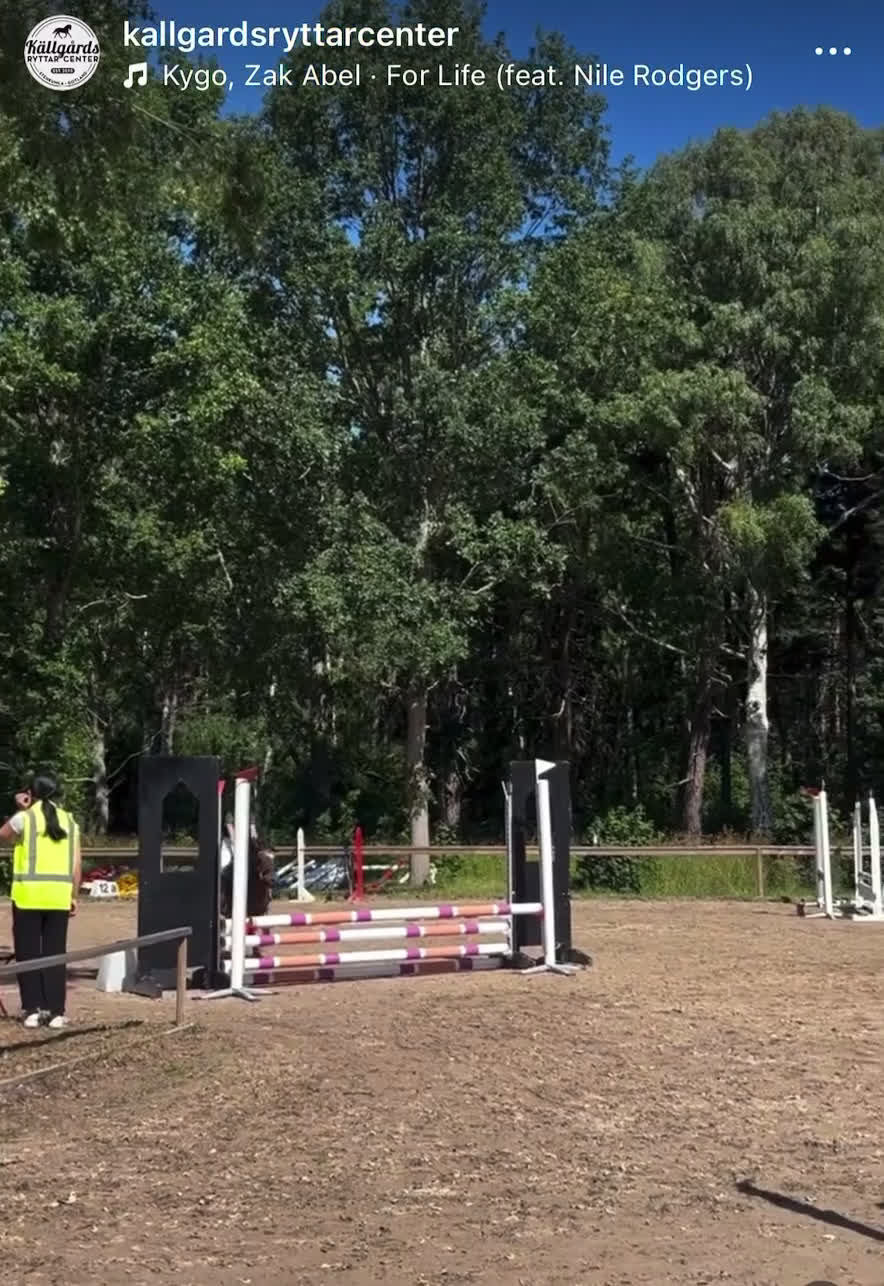 Hoppning hästar till salu: Ponnyn som älskar att jobba - Video 1