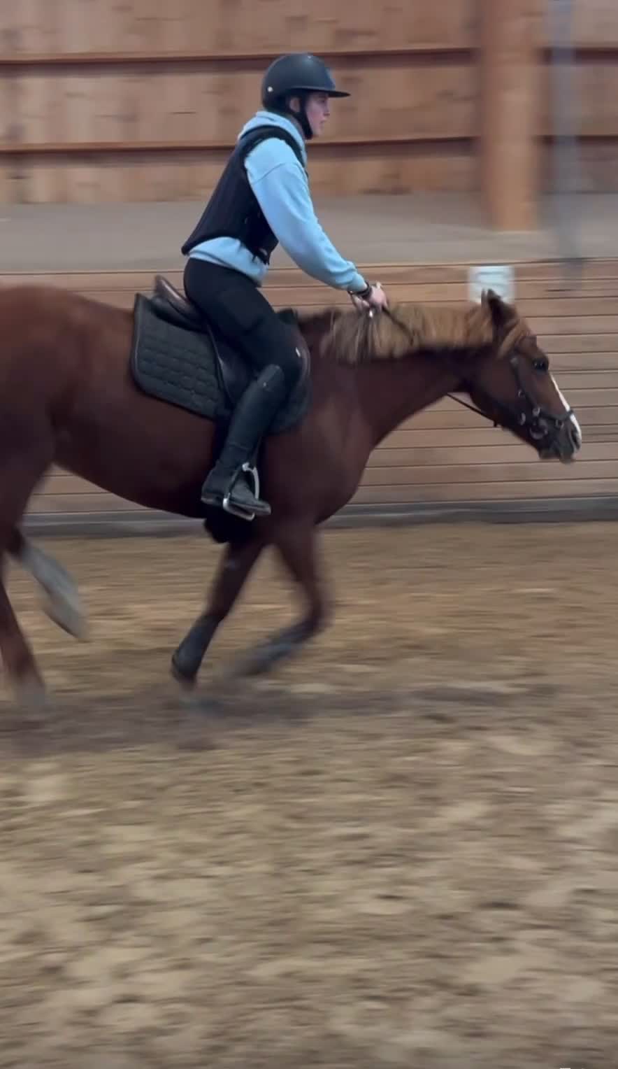 Allround hästar till salu: Trygg mor/dotter allroundponny i Vallentuna - Video 1