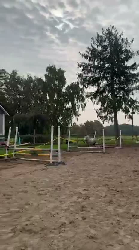Allround hästar till salu: Super fin b ponny  - Video 1