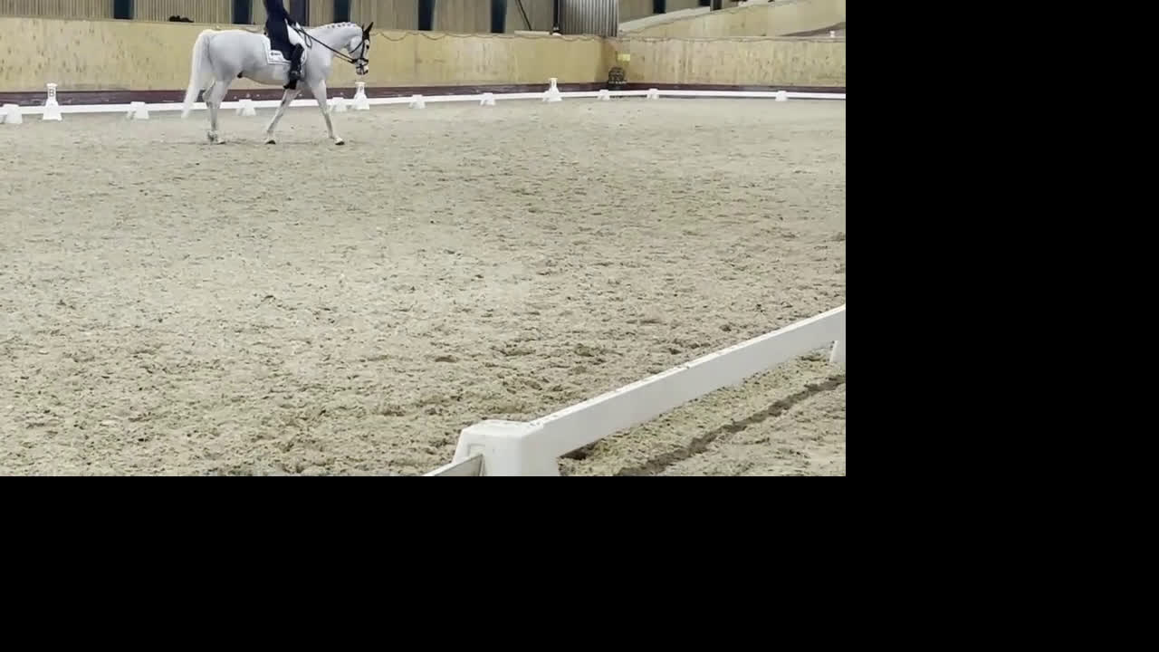 Dressyr hästar till salu: Fantastisk läromästare junior/YR i Teckomatorp - Video 2