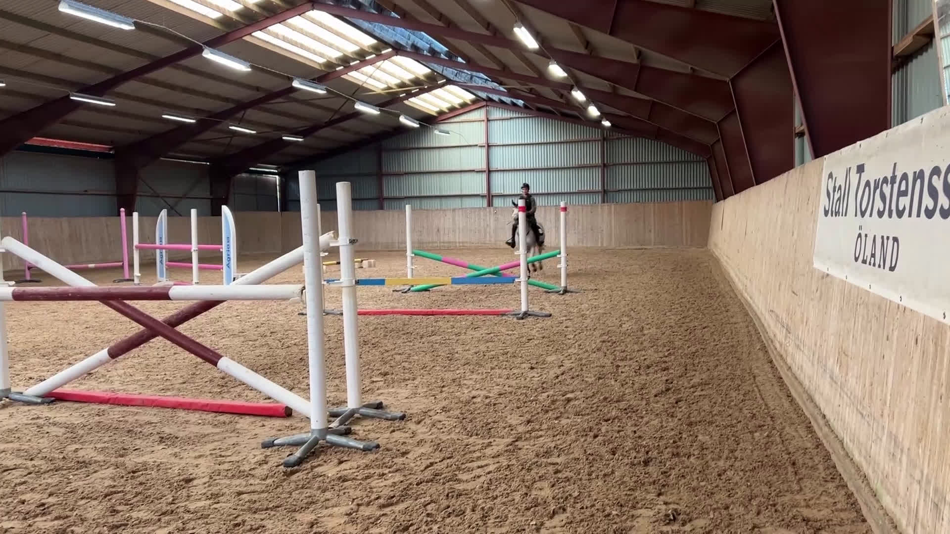 Hoppning hästar till salu: Balla Bella söker ny kompis! - Video 5