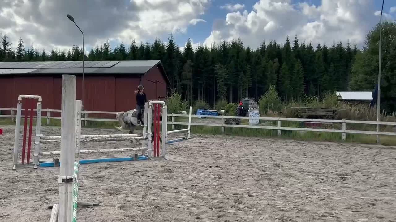 Allround hästar till salu: Val f-20 e. Copycat-Cardento Ca169cm. - Video 1