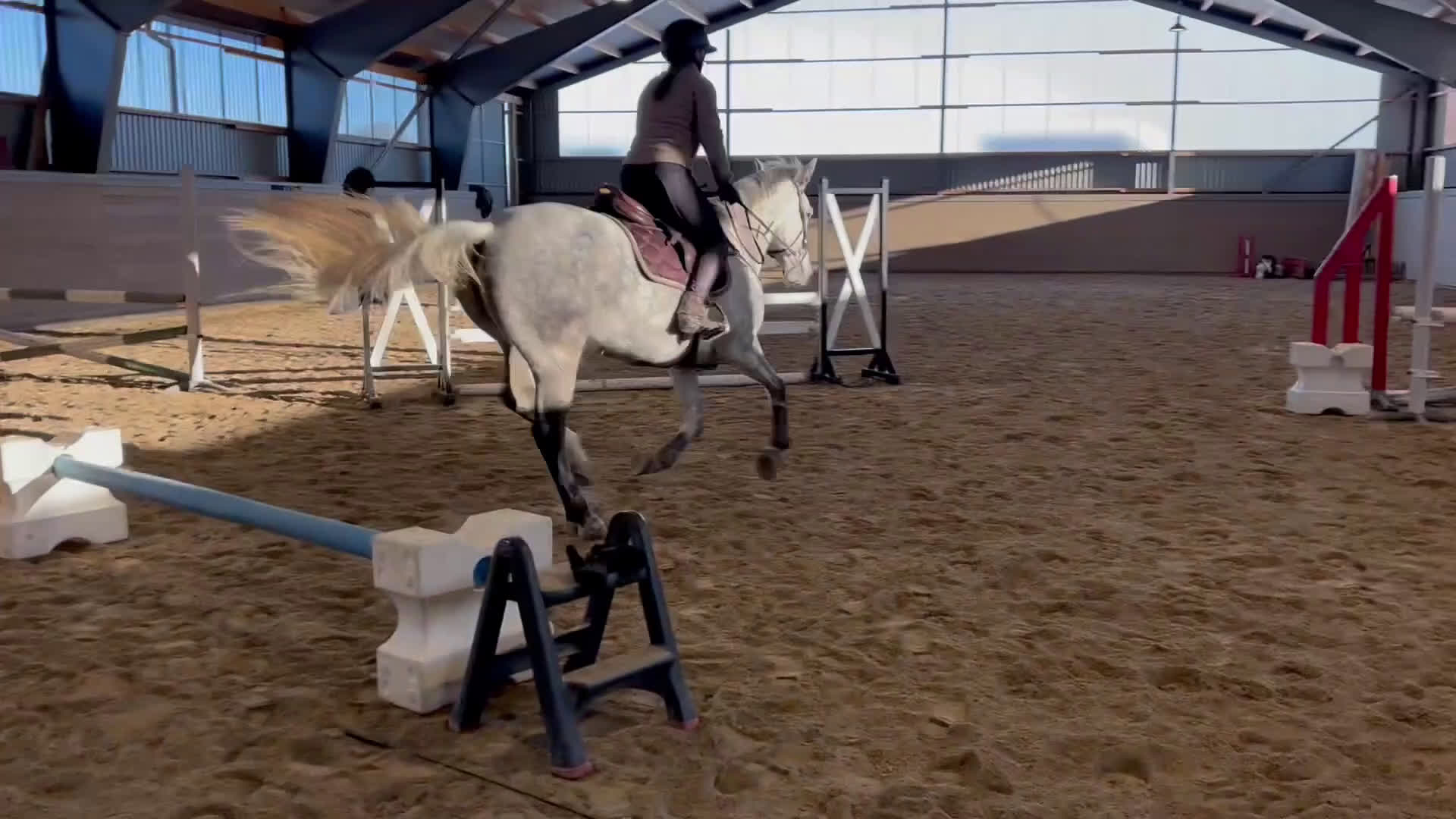 Allround hästar till salu: Ponny med utstrålning i Ingelstad - Video 1