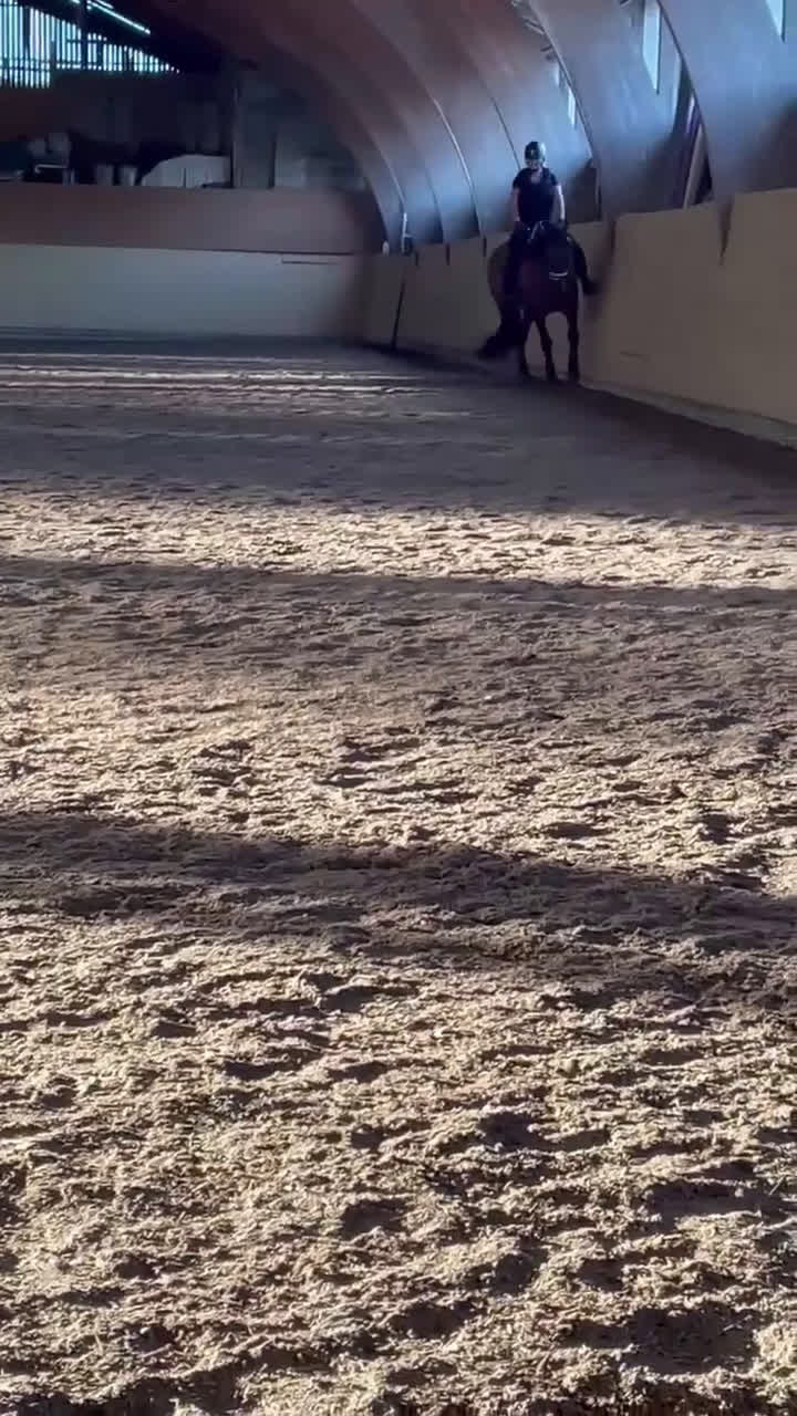 Allround hästar till salu: Lasse söker hem med uteritter och ev körning i Åkersberga - Video 3