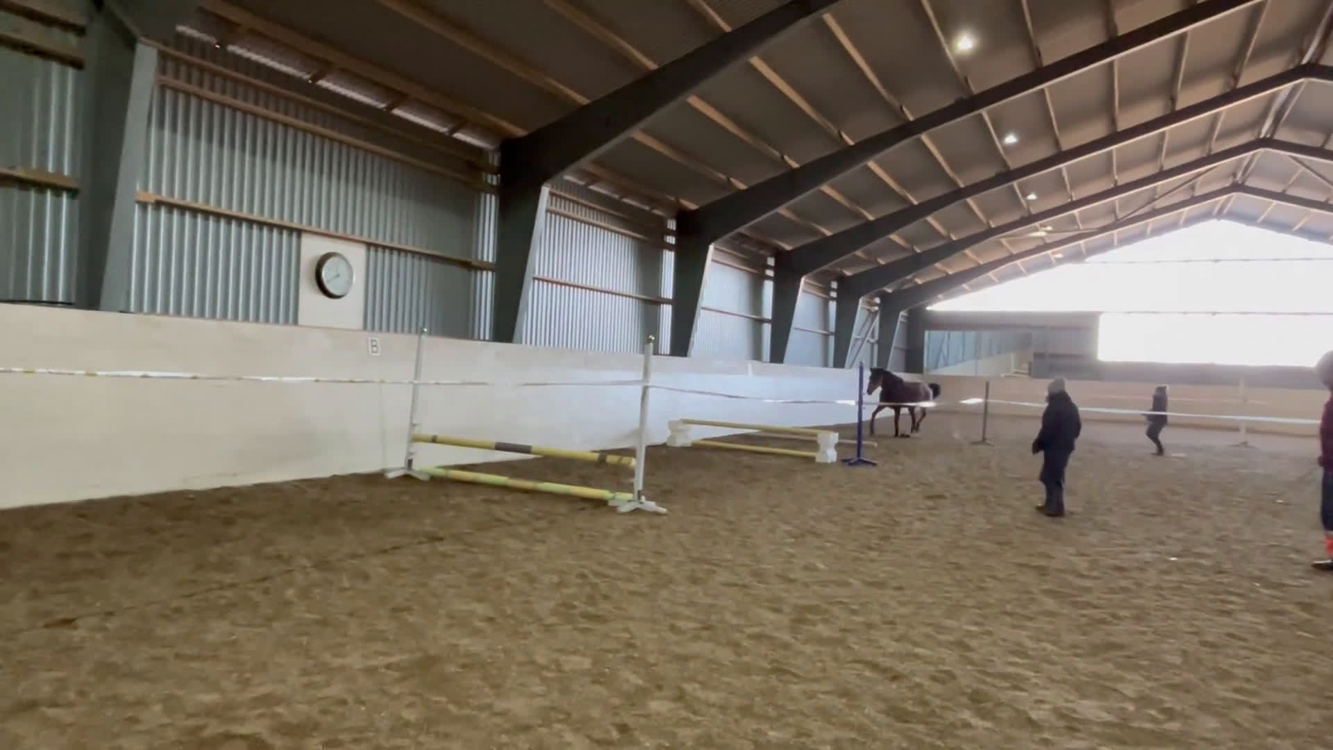 Övrigt hästar till salu: *Tingad* Trevlig allroundhäst - Video 4